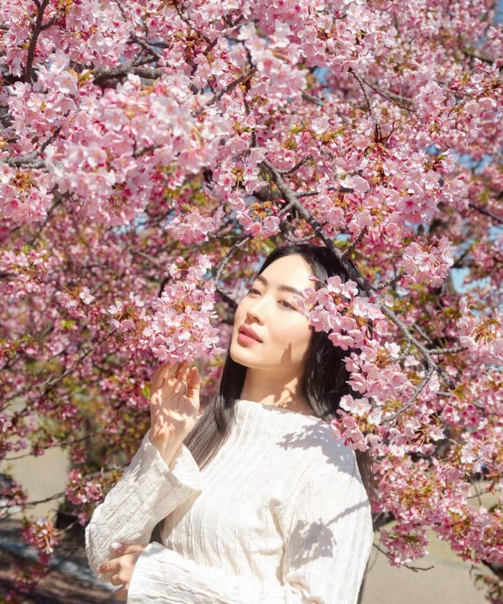 Seleb yang menikmati bunga sakura saat musim semi di Jepang