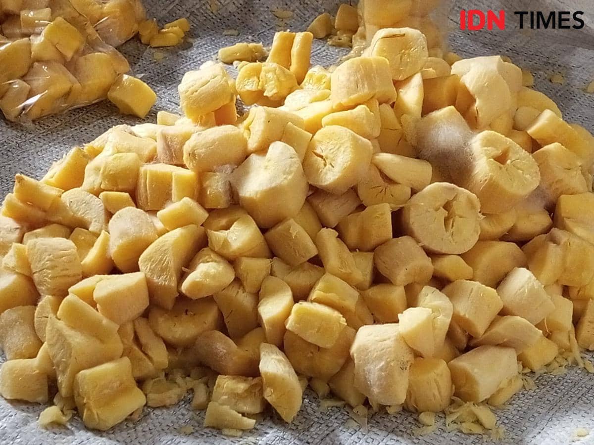 Tape singkong yang siap dikemas dan dijual kepada pedagang.