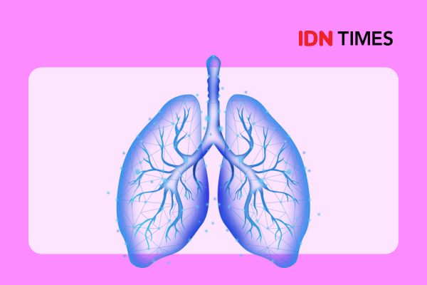 Ilustrasi organ paru-paru.