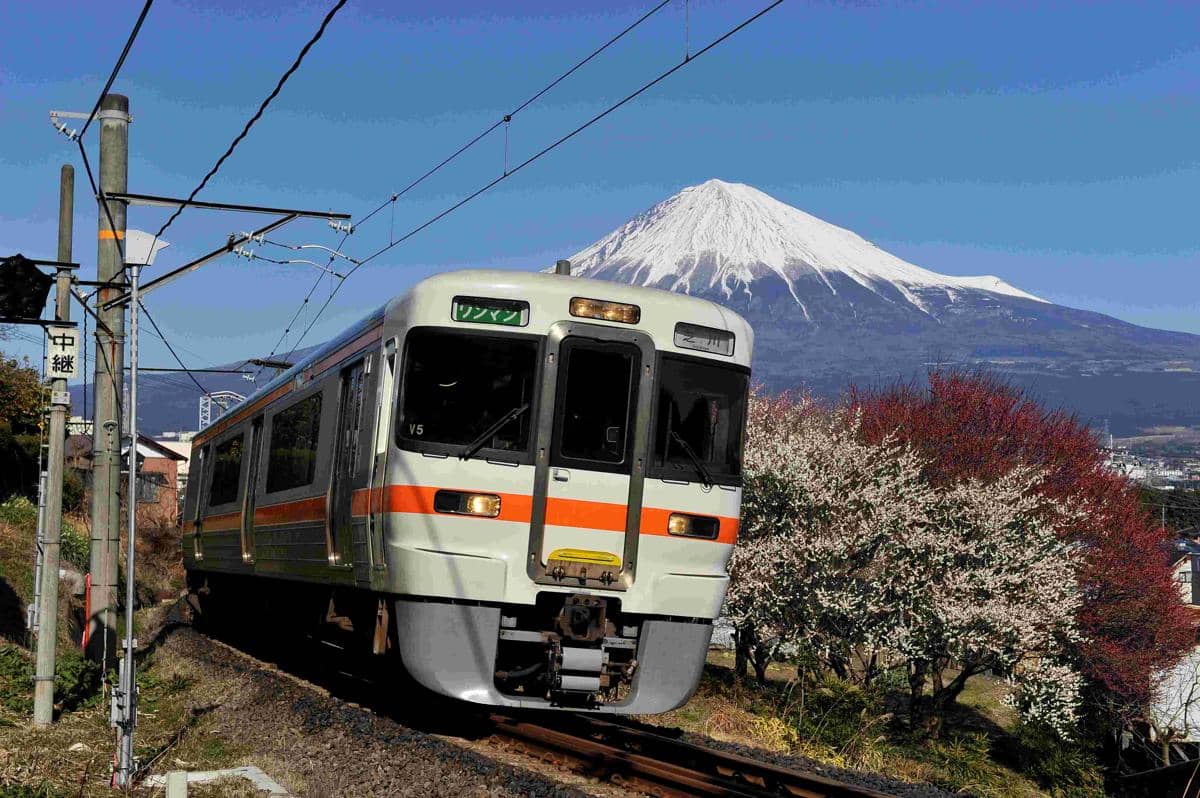 Potret Hokusai Special Train yang melintasi Gunung Fuji di Jepang