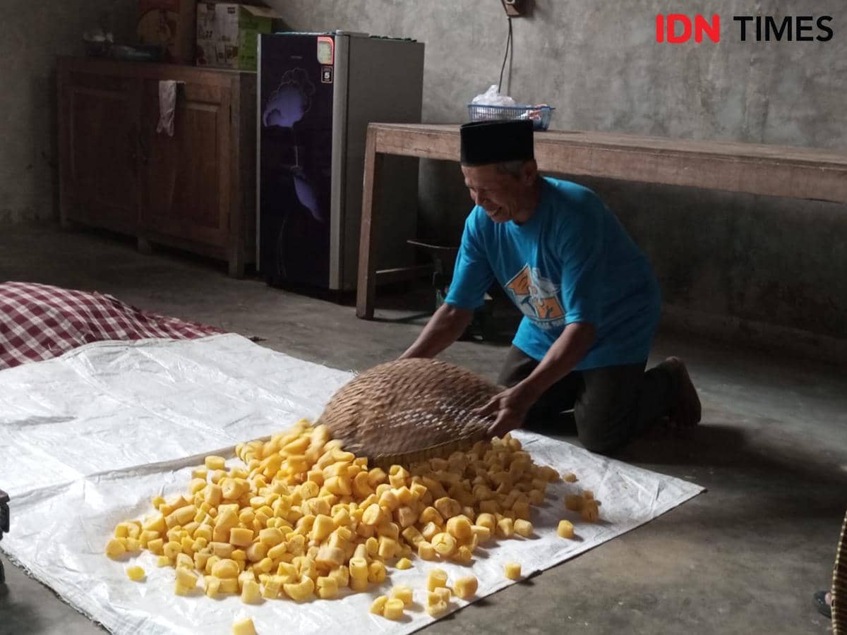 Proses pembuatan atau pengolahan tape singkong.