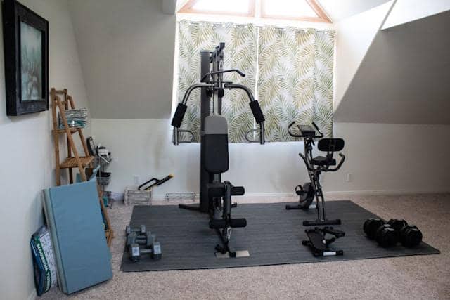 ilustrasi home gym