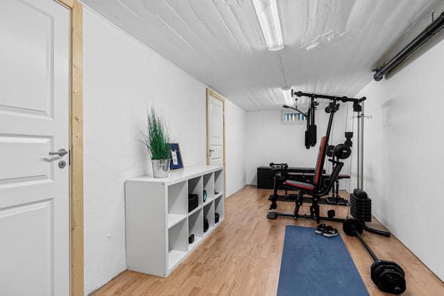 ilustrasi home gym