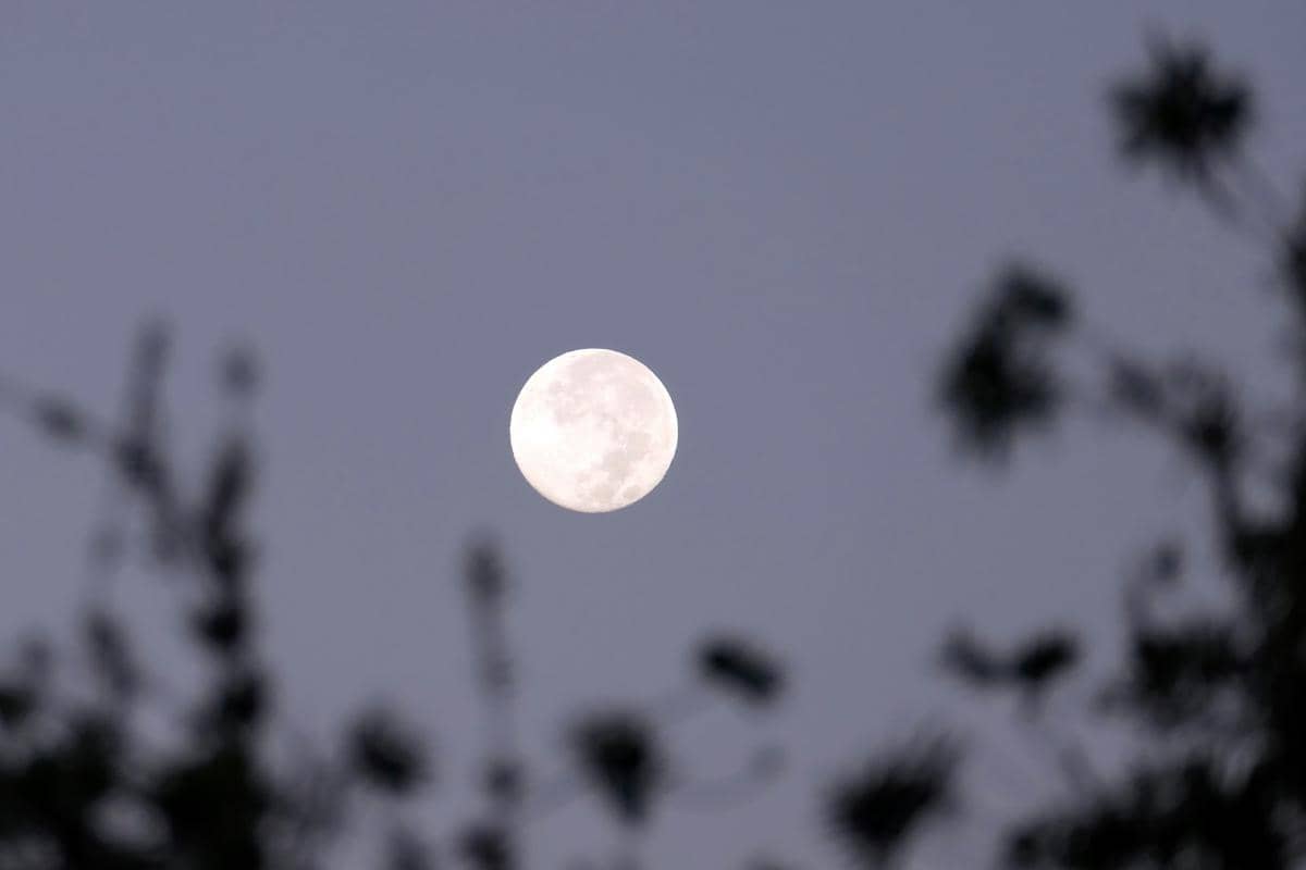 Kapan Pink Moon 2026 Terjadi? Ini Waktu dan Tips Mengamatinya!