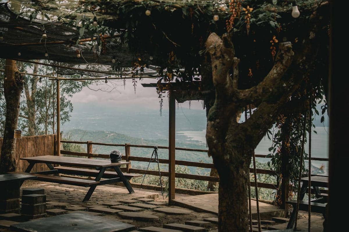 Ilustrasi kafe dengan pemandangan alam terbuka