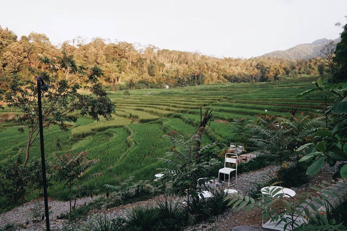 Ilustrasi kafe dengan pemandangan alam terbuka