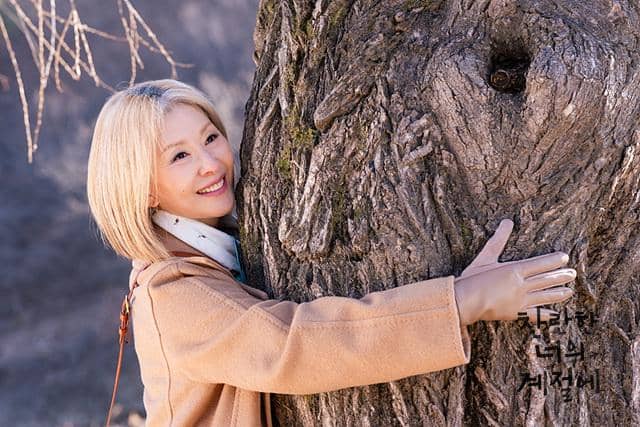 cuplikan drama In Your Radiant Season