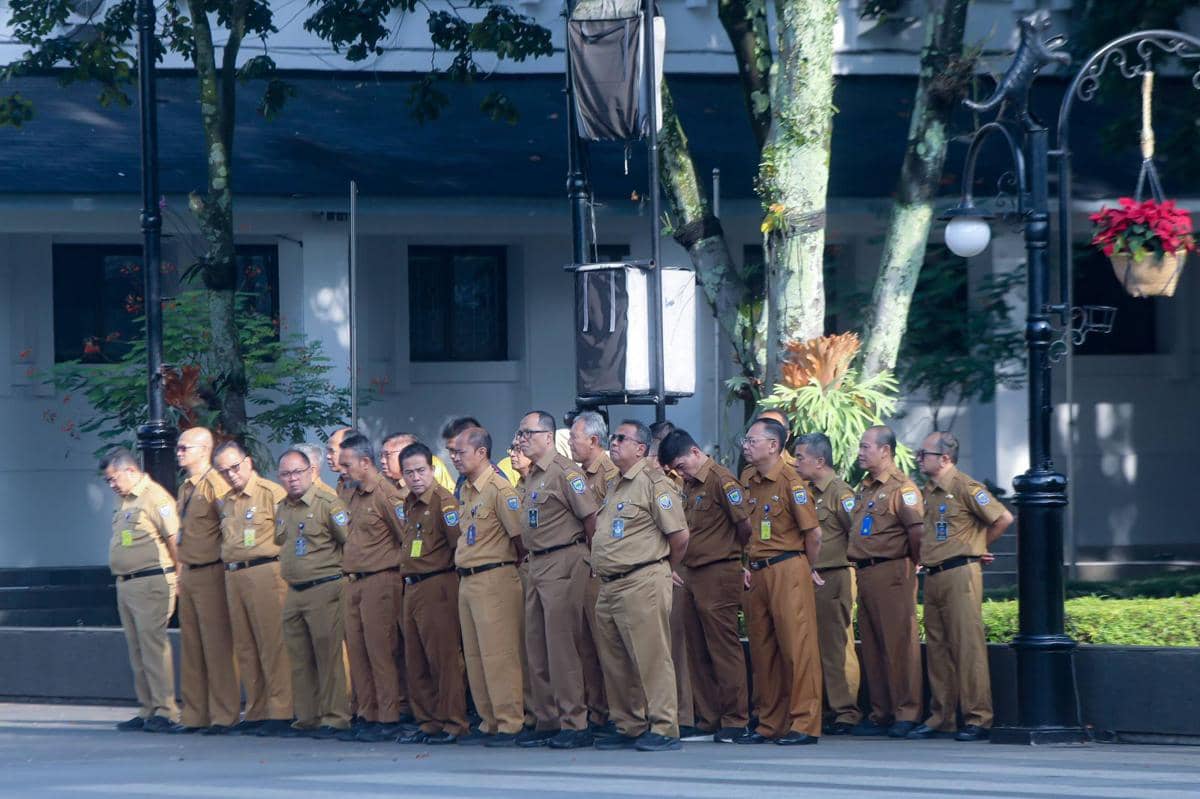 WhatsApp Image 2026-03-30 at 13.10.36.jpeg