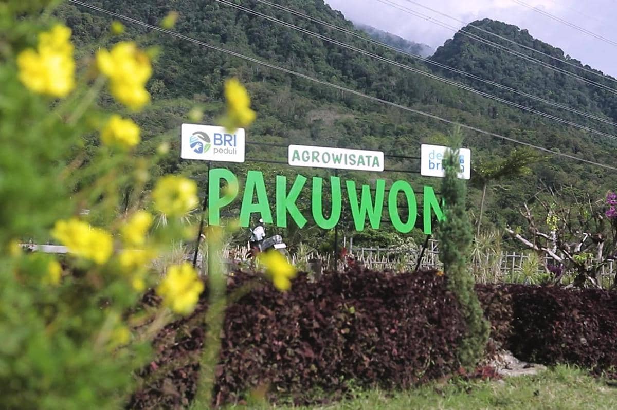 WhatsApp Image 2026-04-01 at 10.02.52 AM.jpeg