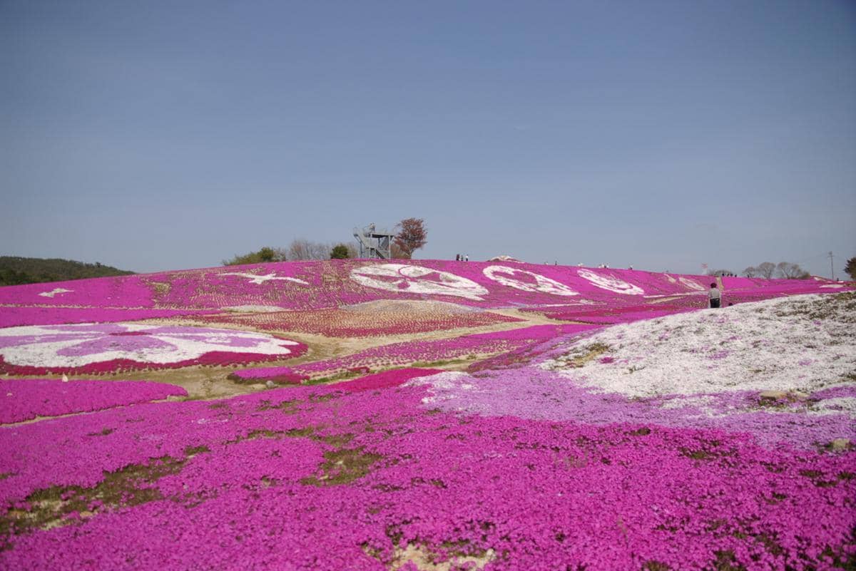 Flower Village Kamu no Sato, Wilayah Chugoku