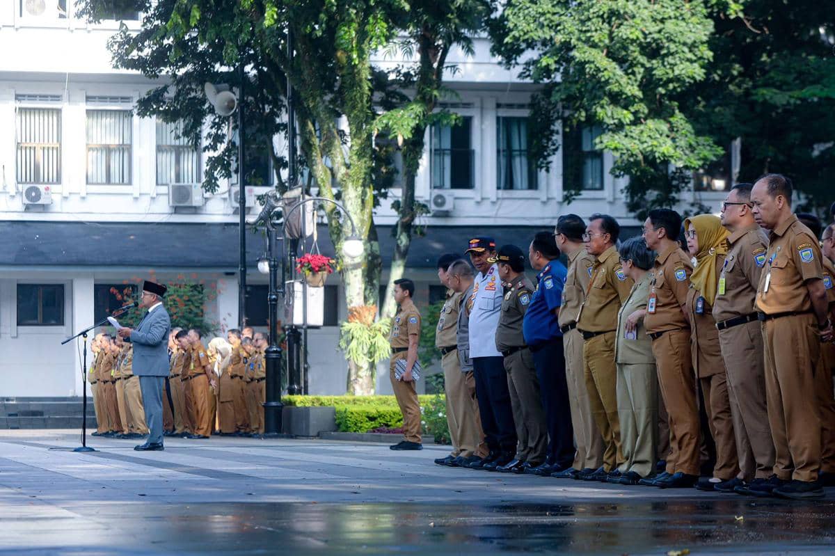 WhatsApp Image 2026-03-30 at 13.10.37.jpeg