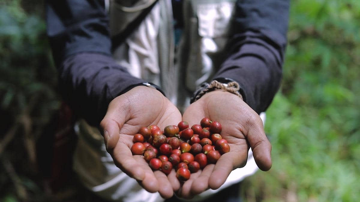 WhatsApp Image 2026-04-01 at 10.02.52 AM (1).jpeg