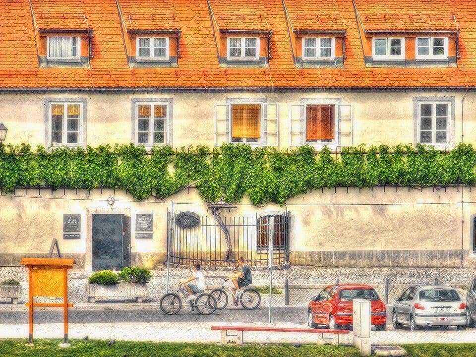 Old Vine House di Maribor