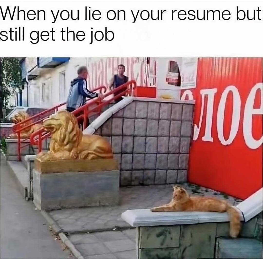 meme kucing tentang kebohongan