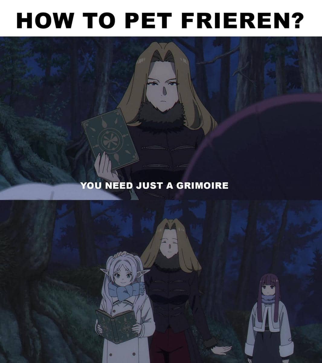 meme Frieren dan grimoire