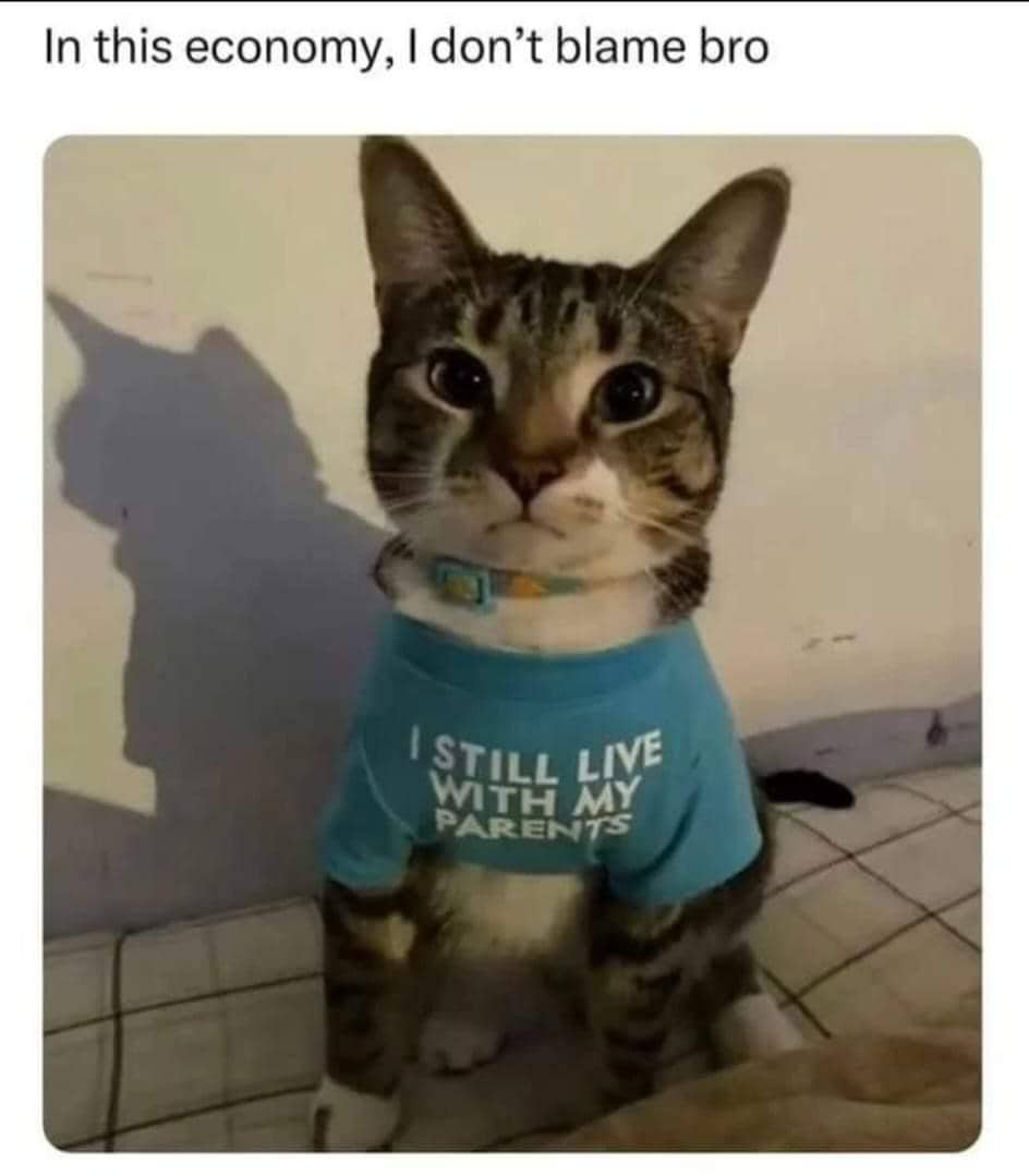 meme kucing tentang orangtua