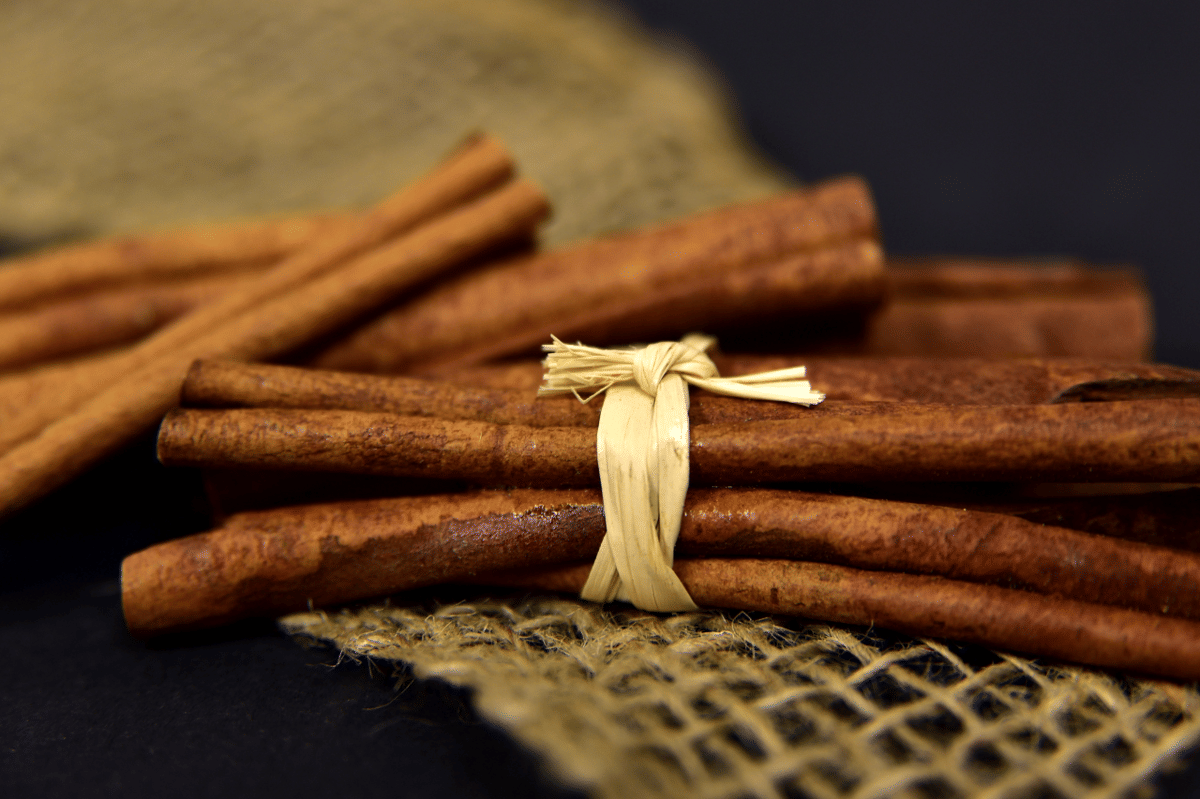 ilustrasi kayu manis