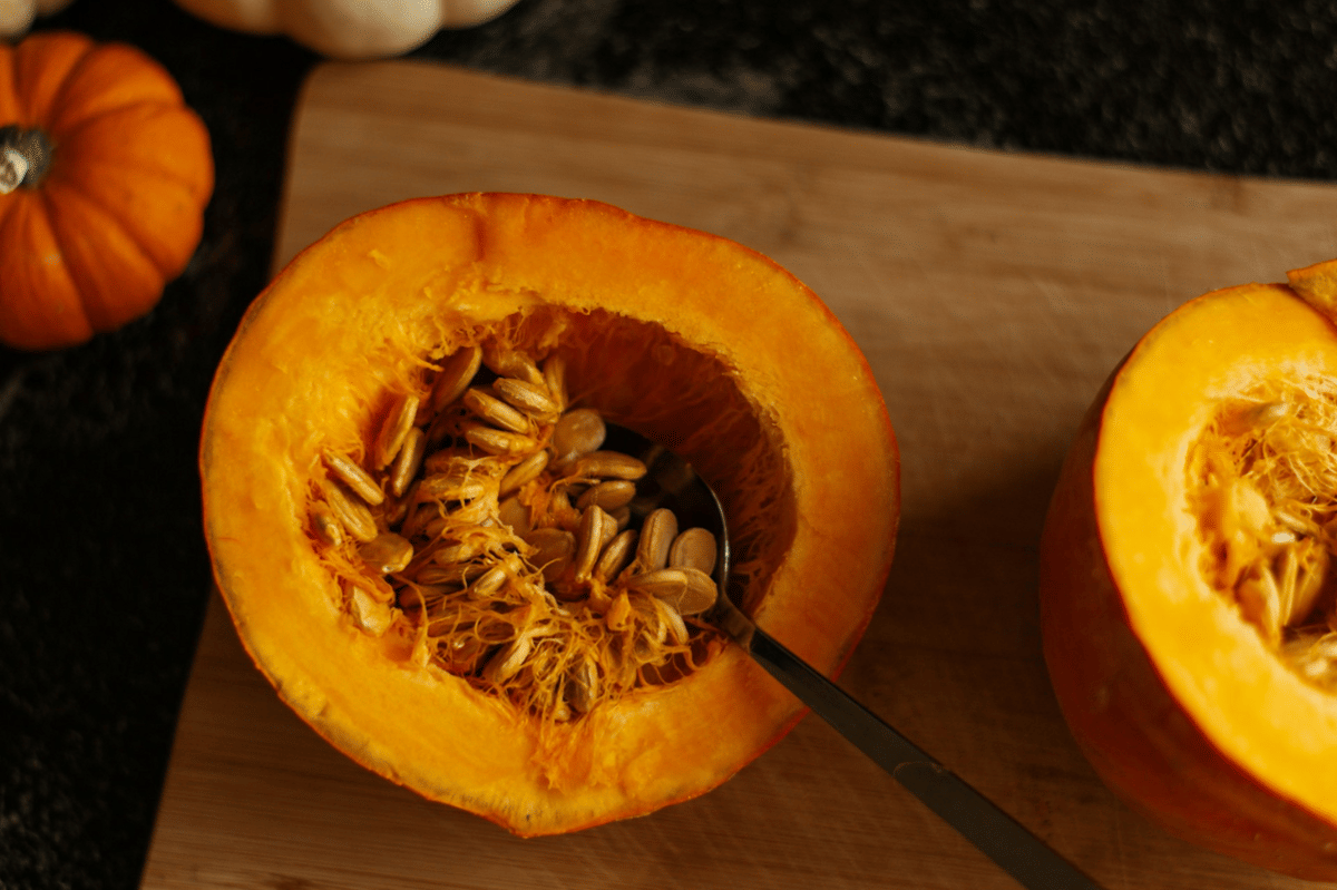 ilustrasi mengolah labu