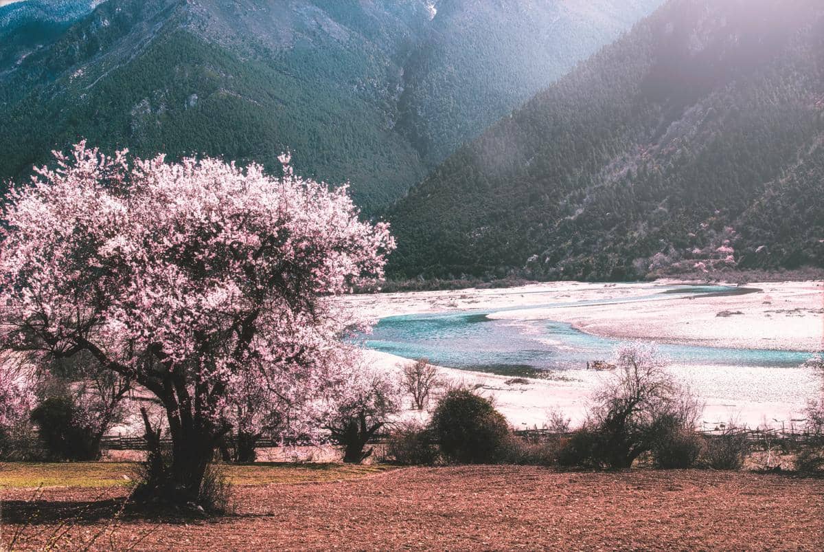 4 Kota Wisata di Tibet, Penuh Sejarah dan Spiritual