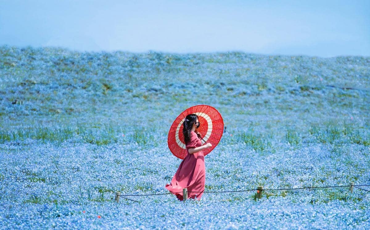 5 Wisata Tokyo dan Sekitarnya yang Ramai Dikunjungi di Bulan April