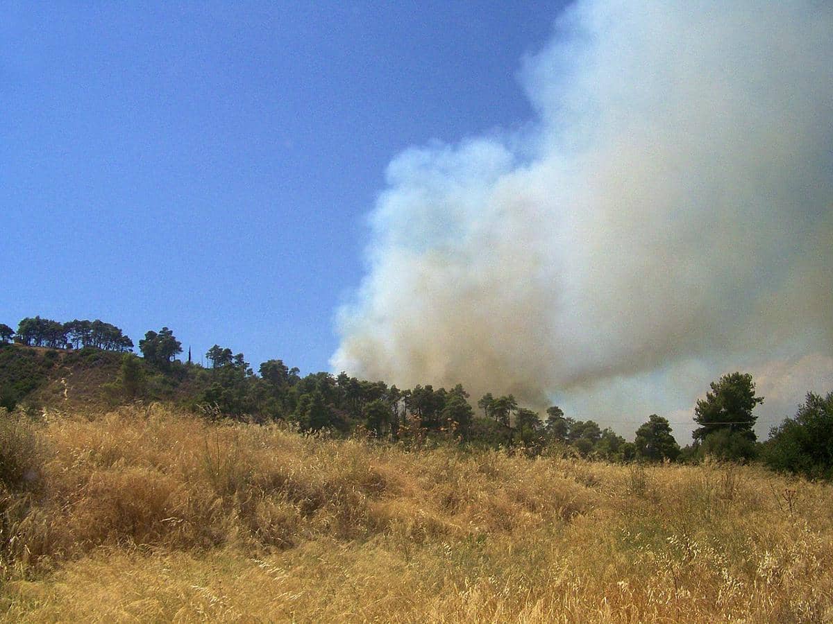 Kebakaran hutan di semenanjung Peloponnese, Yunani, yang lokasinya berada di dekat situs kuno Olympia, tempat kelahiran Olimpiade. 