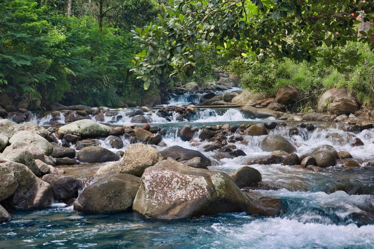 Ilustrasi aliran air jernih dan suasana segar di Sumber Maron.