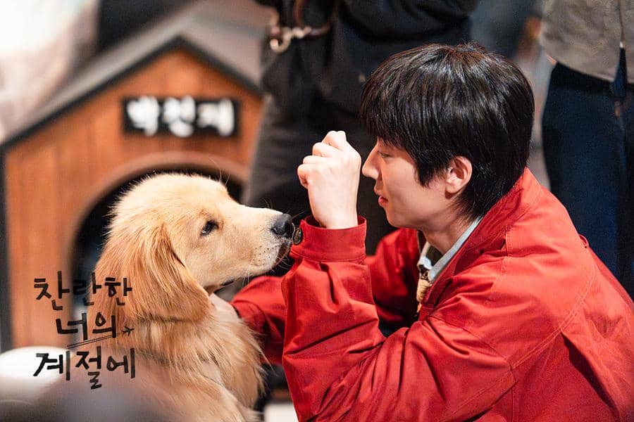 cuplikan drama In Your Radiant Season