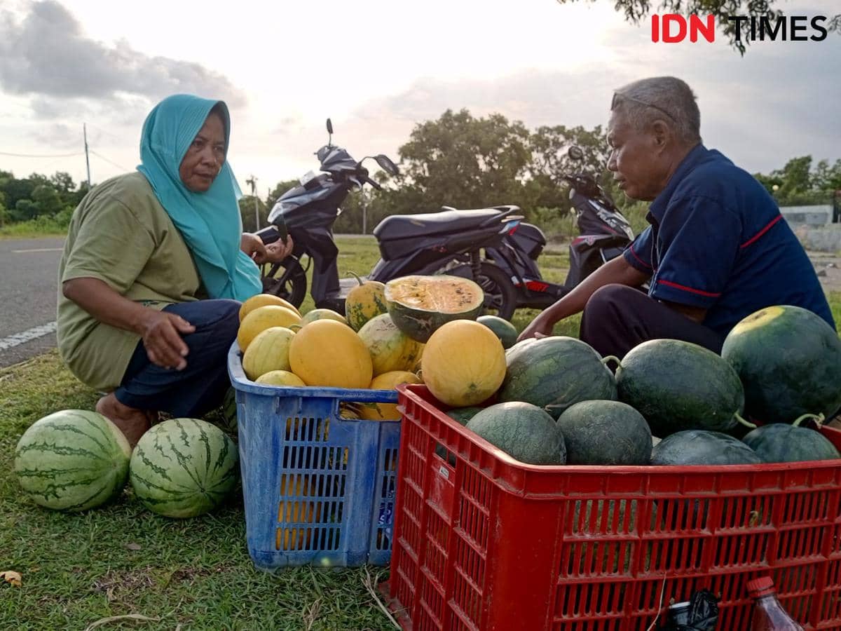 Cerita Aiptu Maryono Jadi Petani Semangka Jelang Pensiun
