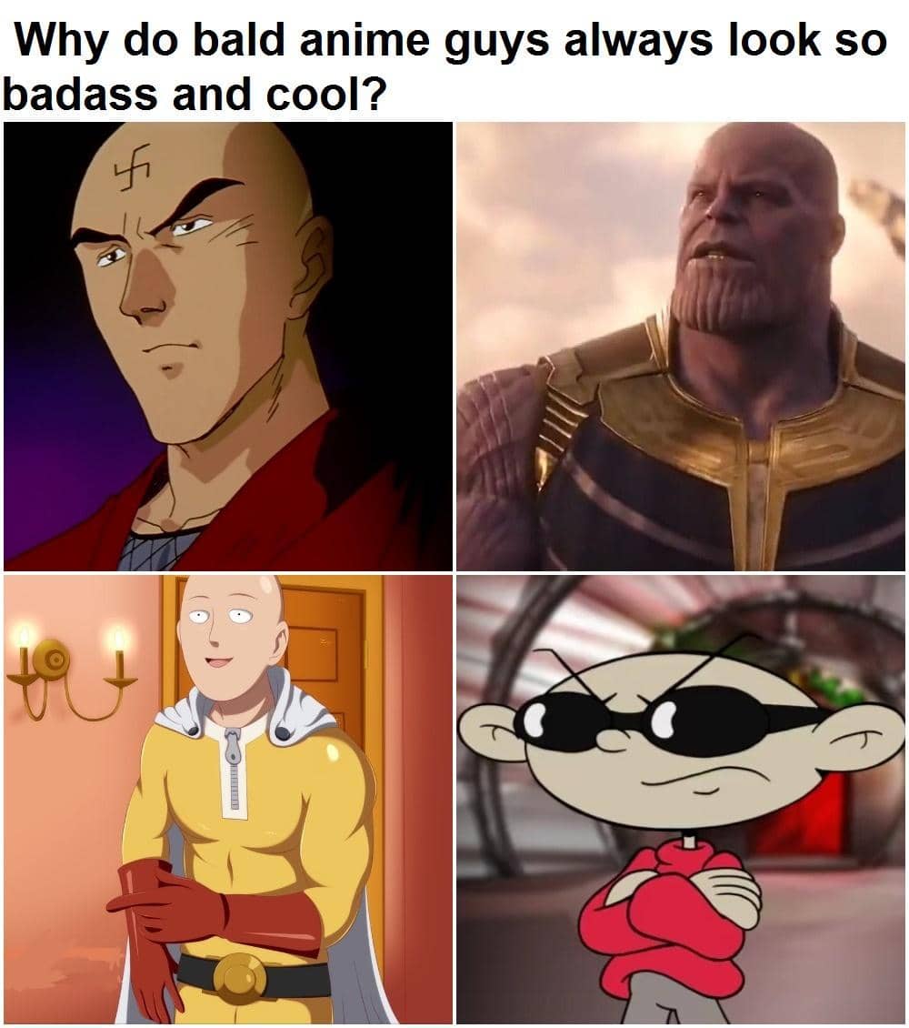 meme anime tentang kepala botak