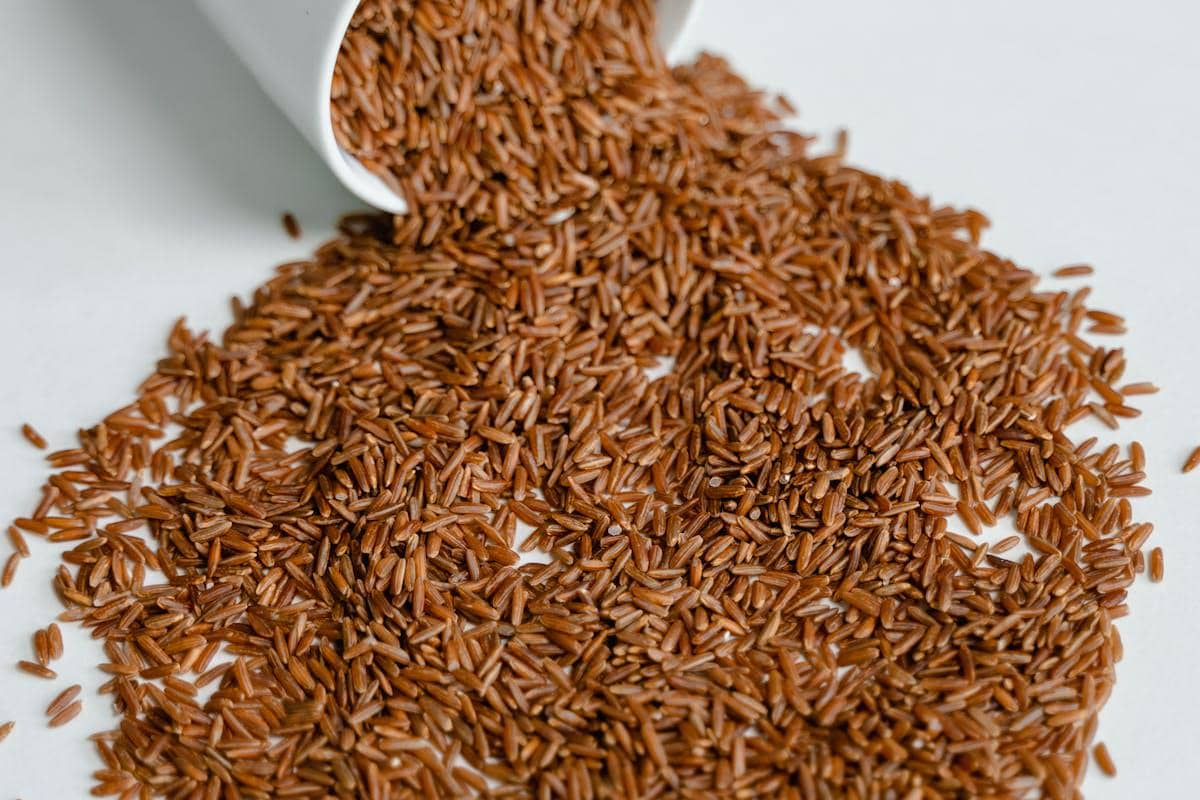 Ilustrasi beras merah