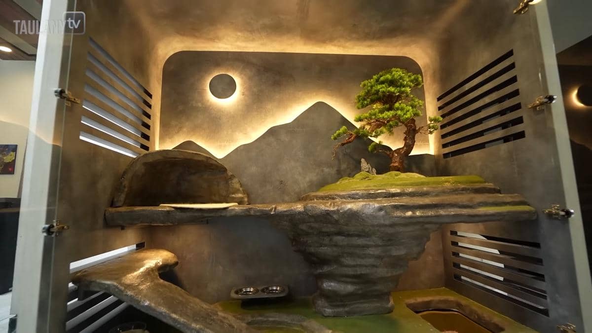 Potret kediaman Rachel Vennya, rumah untuk Biru dan Chava