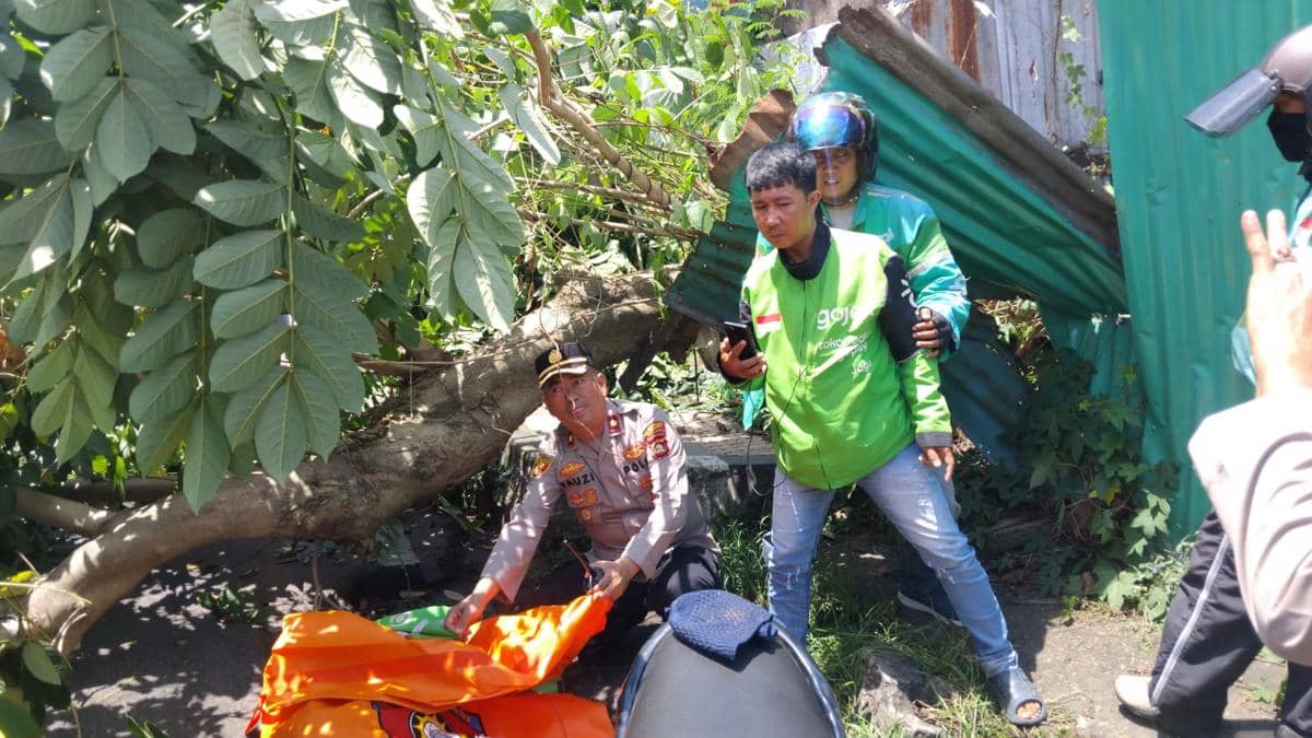 Evakuasi korban pohon tumbang di Jalan Kapten A Rivai Palembang
