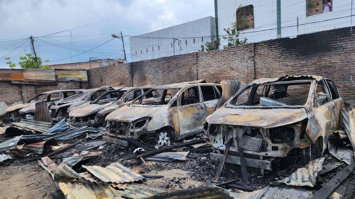 WhatsApp Image 2026-04-03 at 11.05.49 AM.jpeg