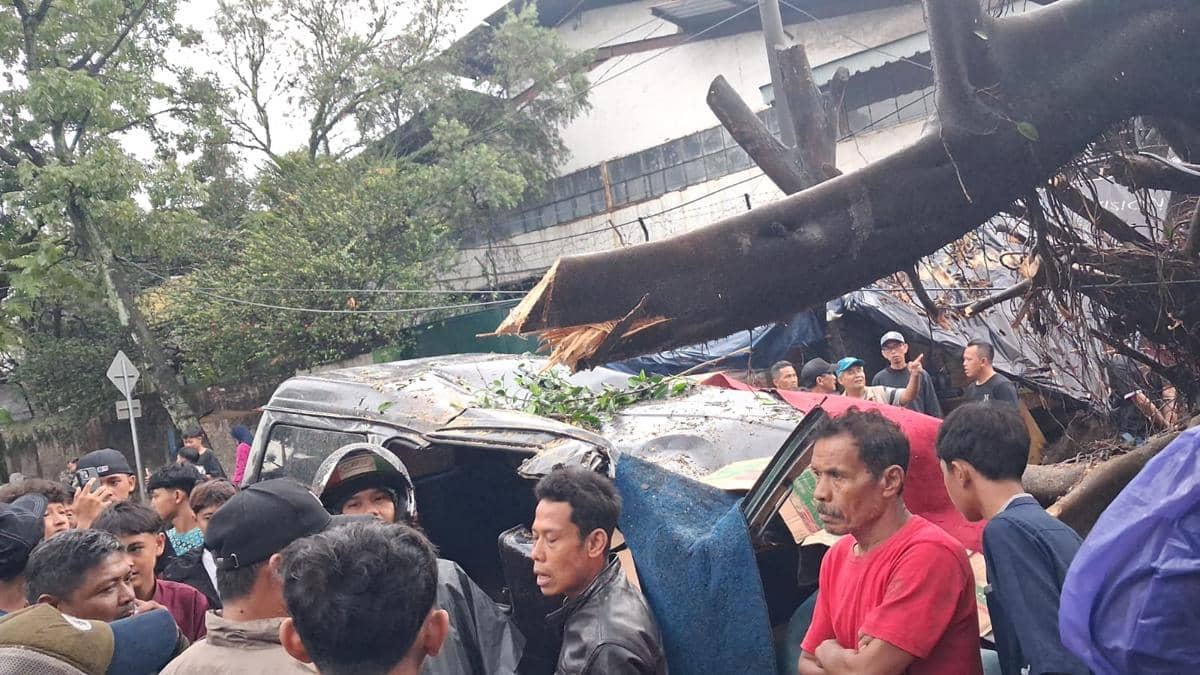 Pengemudi Mobil Tewas Usai Tertimpa Pohon Tumbang di Caringin Bandung