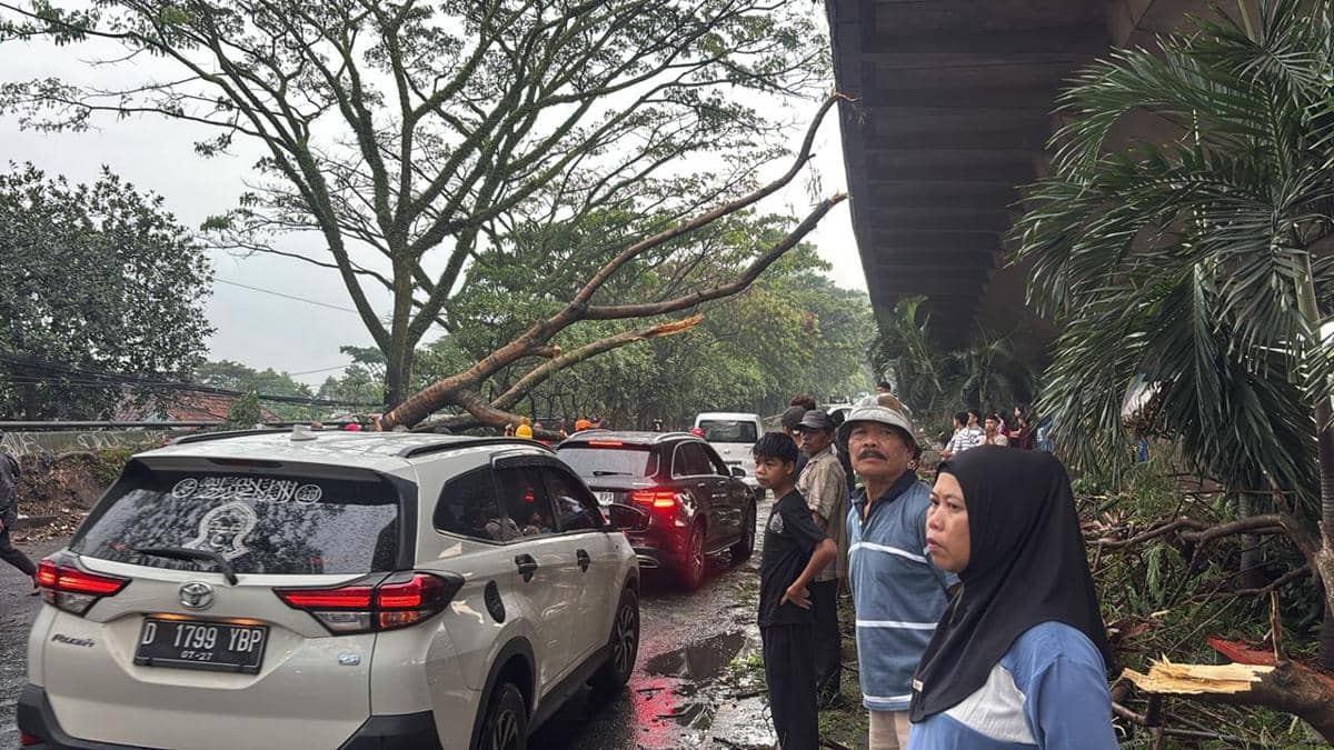 23 Titik Pohon Tumbang di Kota Bandung,  Akses Jalan Terganggu