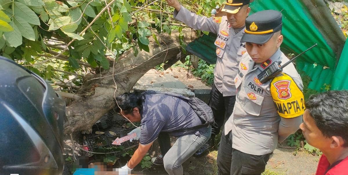 Pengendara Motor di Palembang Meninggal Tertimpa Pohon Tumbang