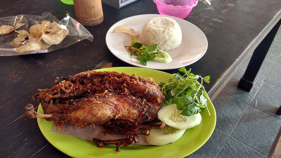 Ilustrasi Nasi Bebek