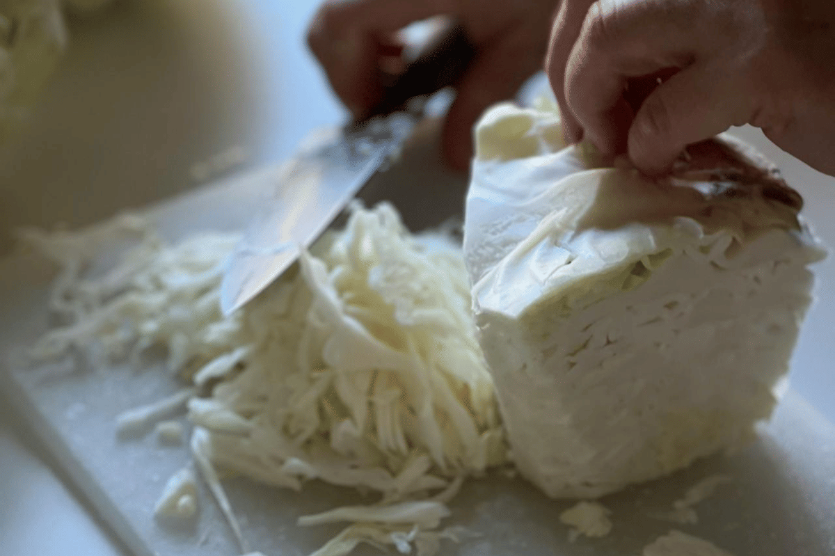 ilustrasi mengolah kubis