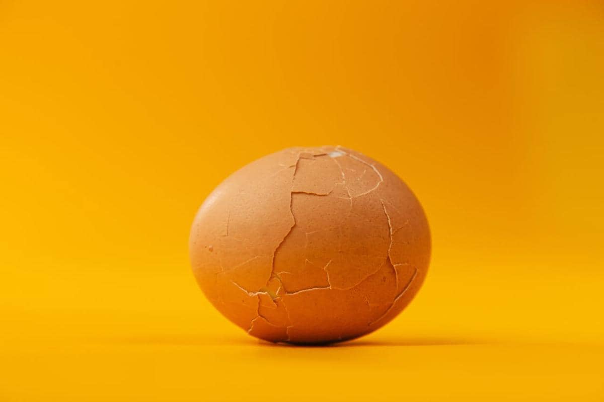 Ilustrasi telur cangkang retak.