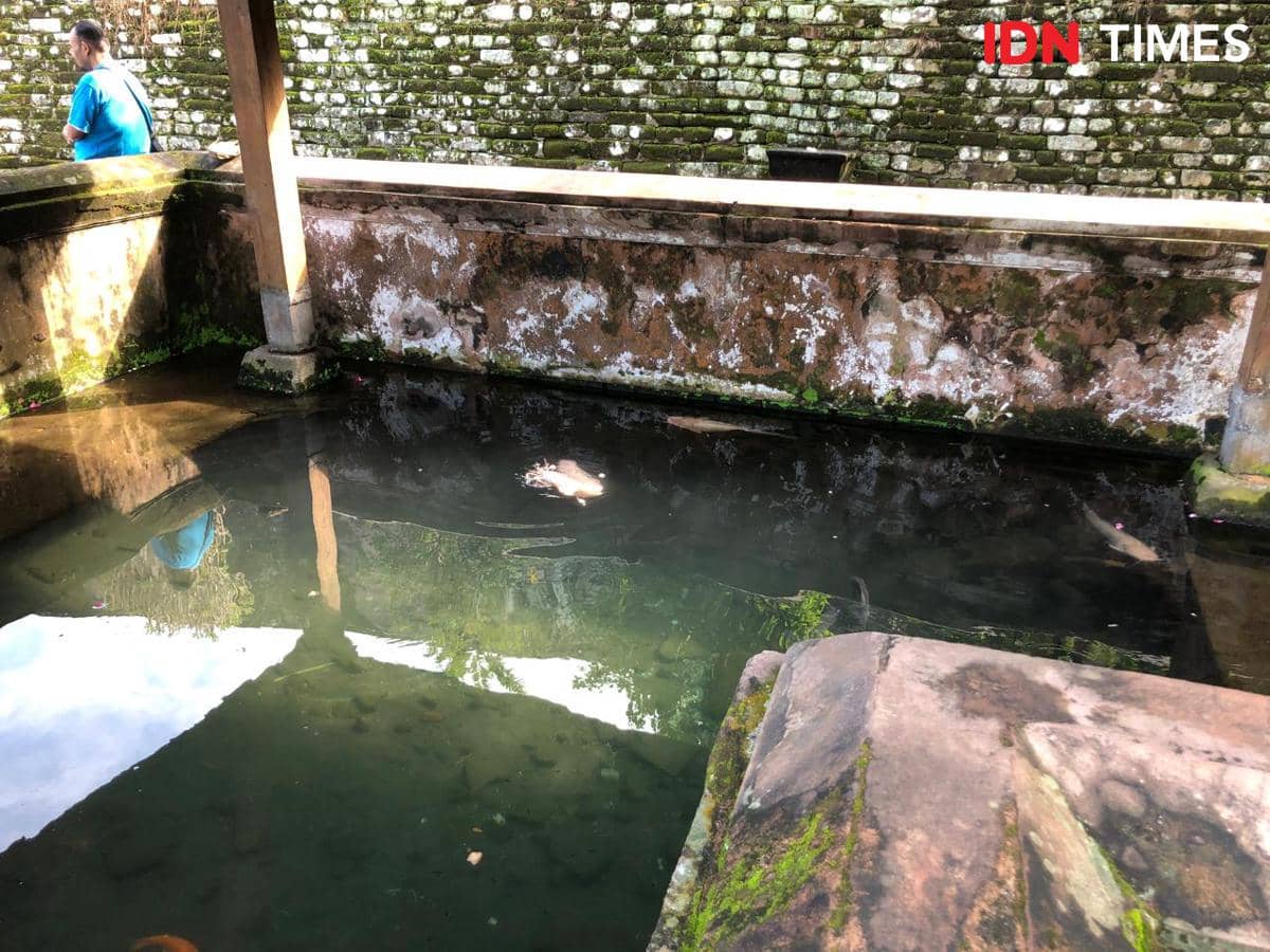 Lele di Sendang Seliran, Makam Raja Mataram Kotagede 