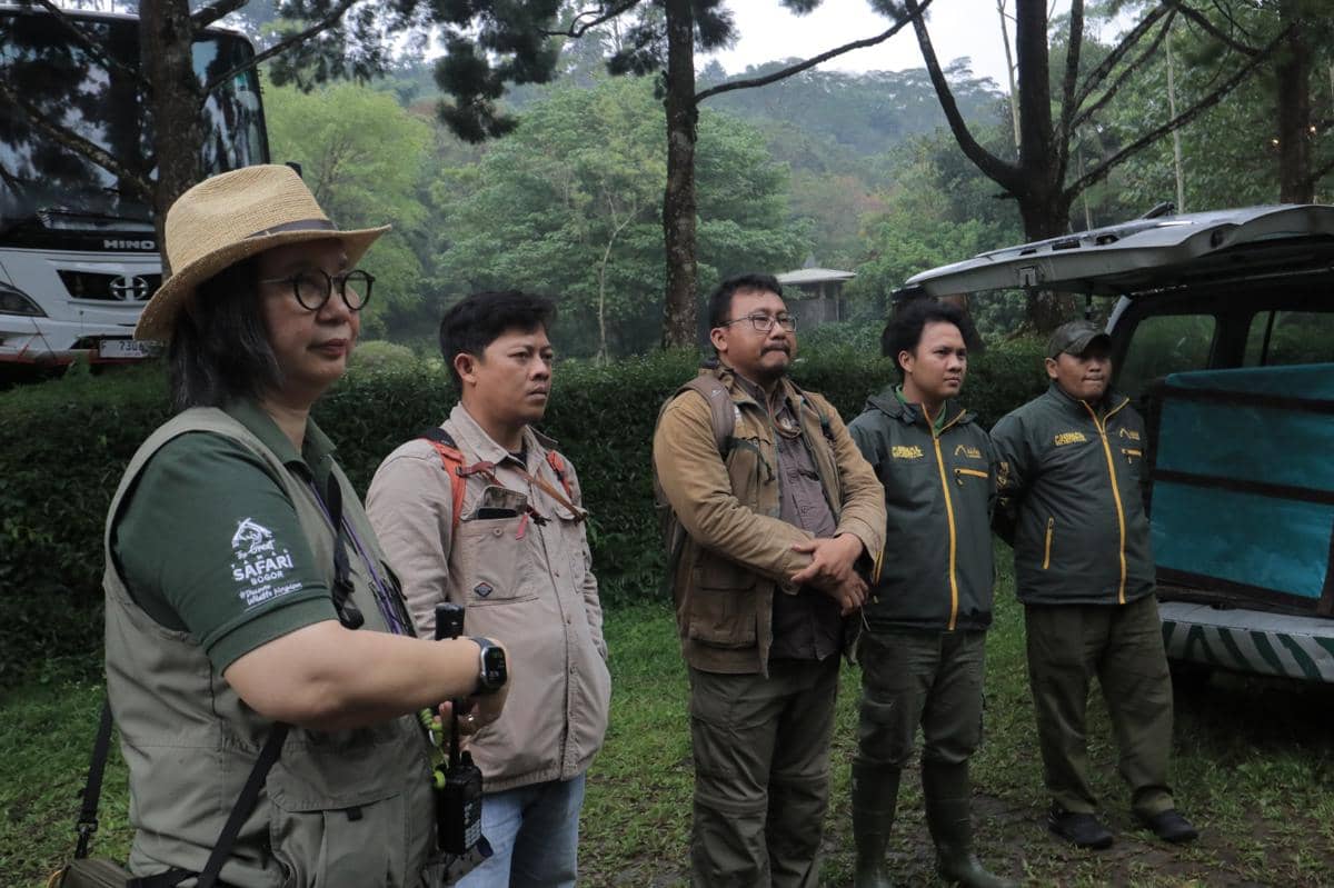 Persiapan Pelepasliaran Macan Tutul.JPG