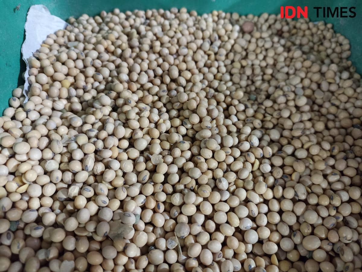 Kedelai Makin Mahal, Mentan Bakal Kumpulkan Para Importir