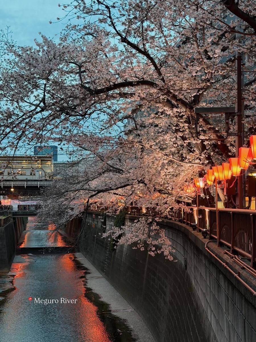 Nikita Willy dan keluarga liburan