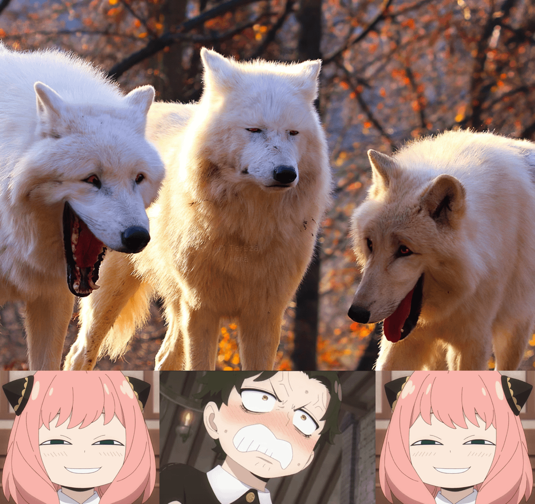 meme senyum ngeselin Anya