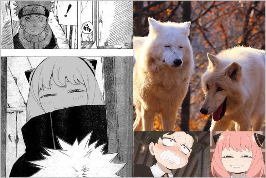 8 Meme Senyum Ngeselin Anya, Kocak Tapi Bikin Jengkel