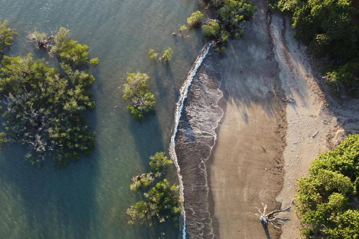Ilustrasi Pantai Watu Leter dengan air biru toska di sekitar hutan mangrove.