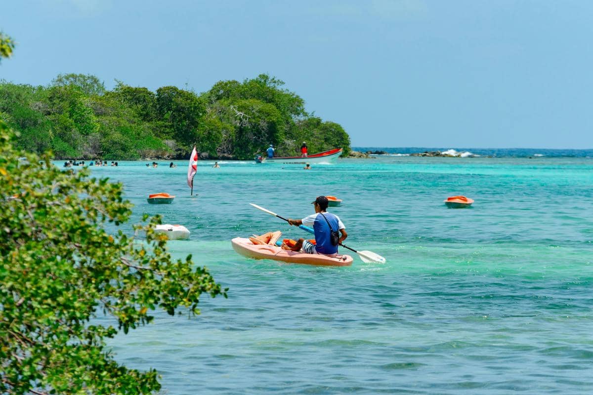 Ilustrasi Pantai Clungup dengan suasana sepi di sekitar hutan mangrove.