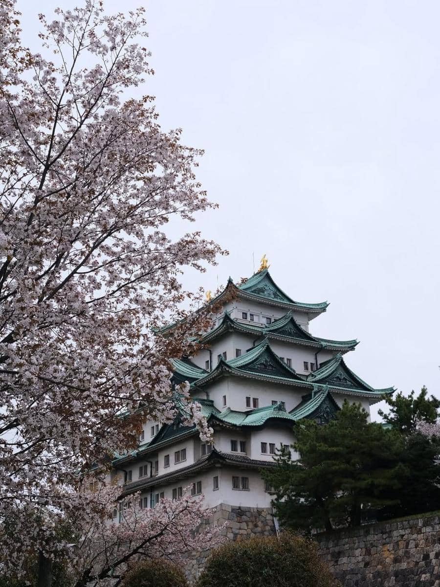 Raya Kohandi iburan di Jepang