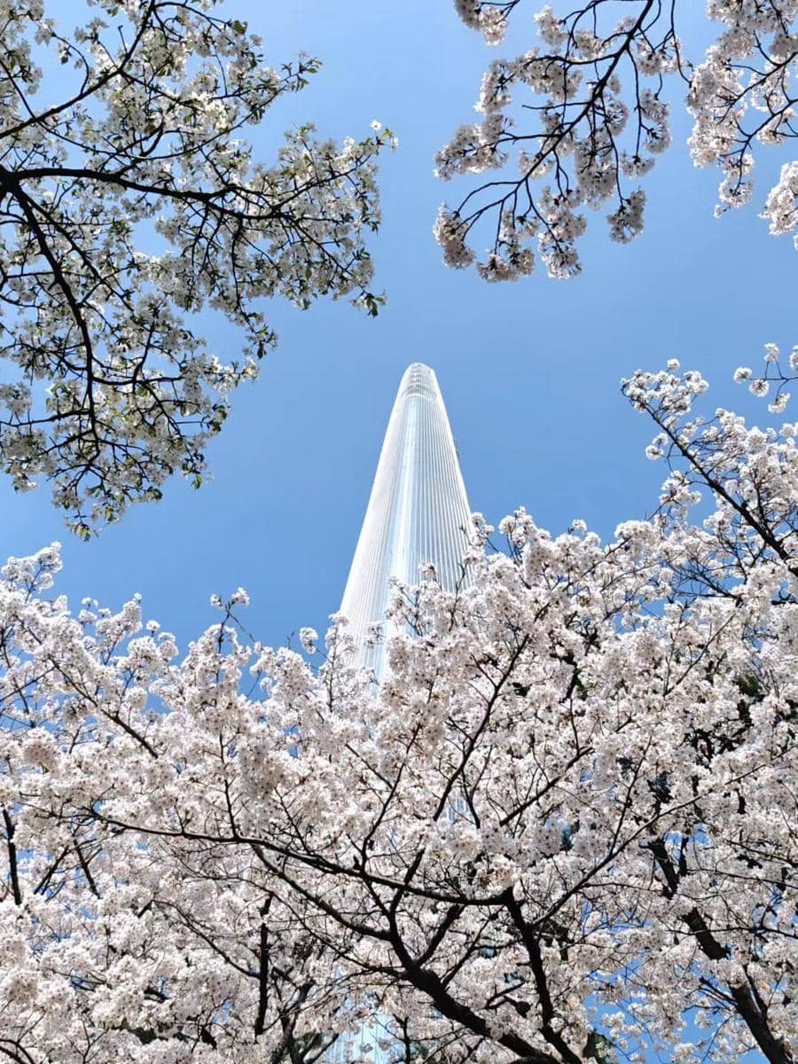 Chef Rinrin Marinka jalan-jalan di Seoul saat musim semi