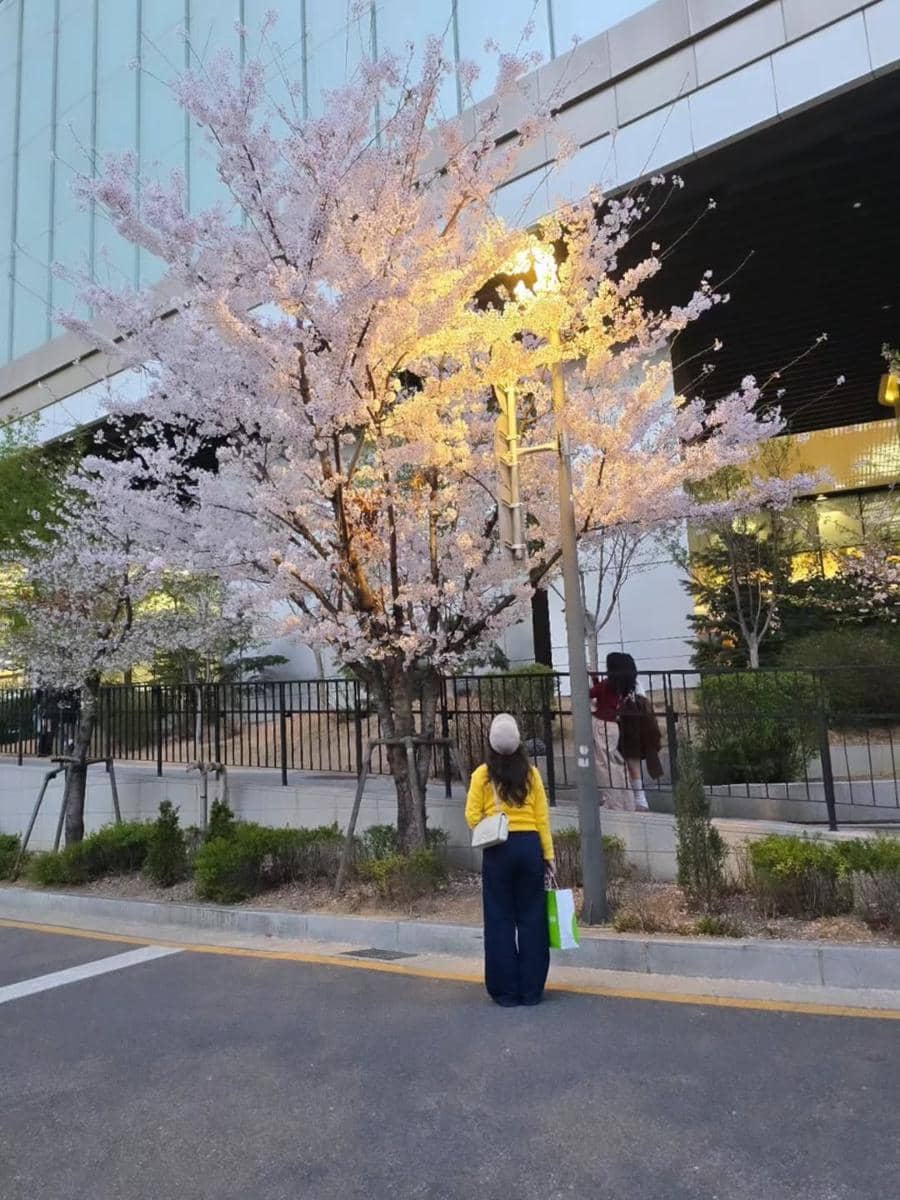 Chef Rinrin Marinka jalan-jalan di Seoul saat musim semi